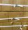 SB04-3 - strapping buckle galvanized